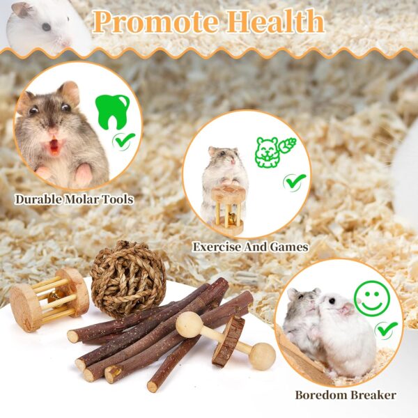 SONNIG 11 PCS Hamster Toys, Natural Wooden Chew Toys for Small Animals Teeth Care and Exercise, Guinea Pig Toys Gerbil Toys Rat Toys Boredom Breakers and Accessories for Cage - Image 4