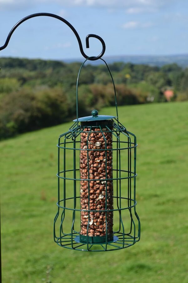 Supa Wild Bird Caged Peanut Feeder, Deters Squirrels And Larger Birds Such As Doves & Pigeons. - Image 3