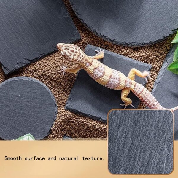 Lezevn 2Pcs Slate Reptile Basking Platform Tortoise Rock Plate Feeding Food Bowl Dish Feeding Slate Grinding Nail Landscape Habitat Decor - Image 5