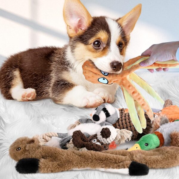CITAMAMA Squeaky Dog Toys, 5 Pack Plush Puppy Dog Toys Various Animals Shapes Training Toy Chew Toys for Puppy Small Dogs - Image 6