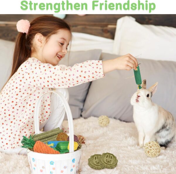Ousiya 21-Pack Rabbit Toys Set, Natural Rabbit Chew Toys Boredom Breakers for Bunny, Hamster, Guinea Pig and Chinchilla, Apple Wood Timothy Hay Sticks Treating for Rabbit and Small Animals Teething - Image 7
