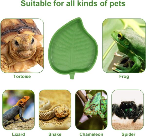 2 Pieces Leaf Reptile Food Water Bowl Plate Dish for Tortoise Corn Snake Crawl Pet Drinking and Eating, 2 Sizes - Image 3