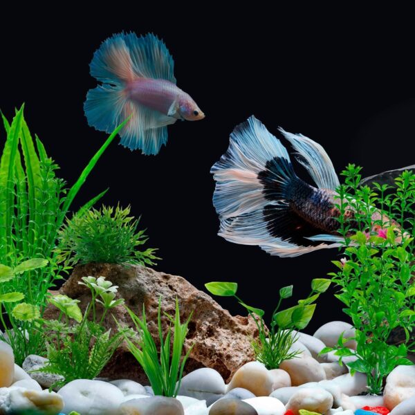 OMJMYY 21 Pack Aquarium Plants Artificial Fish Tank Plants Artificial Aquarium Fish Tank Plastic Plants Tropical Fish Tank Plants Fish Tank Decorations for Fish Tank Decor Aquarium Decor - Image 6