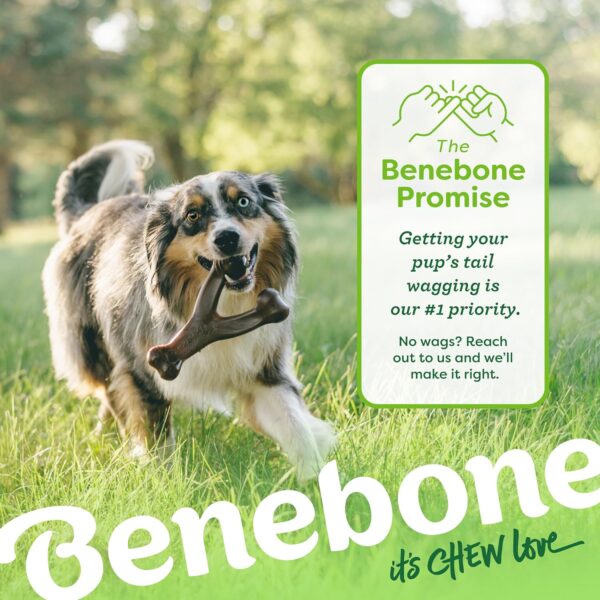 Benebone Indestructible Wishbone Dog Chew Toy for Aggressive Chewers, Long Lasting Tough Boredom Breaker for Dogs, Real Bacon Flavour, For Small Dogs, Made in the USA. - Image 6