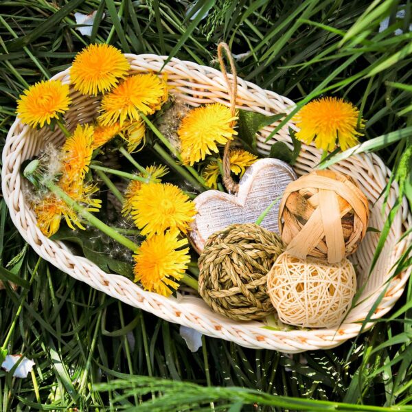 Episkey 9 Pcs Rabbit Toys, Rabbit Treats Guinea Pig toys Small Pets Chew Balls Grass Balls Natural Toys for Rabbits Chinchilla Bunnies Gerbils and Hamster (2.75-3.15", 9 Pcs) - Image 4