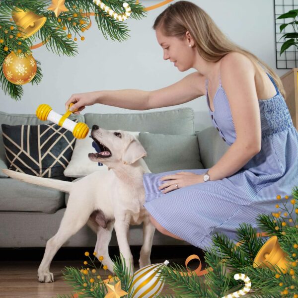PETGEEK Interactive Dog Bone Toy, Automatic Dog Chase Toy, Electronic Dog Toys for Medium/Large Dog Boredom USB Rechargeable Safe Material PC & TPU，Yellow Color - Image 6