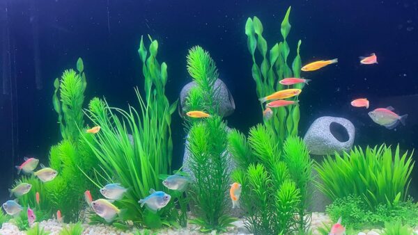 BEGONDIS 18Pcs Artificial Aquarium All Green Plants Set, Artificial Plastic Plants Fake Aquatic Plants Artificial Fish Tank Plants for Aquarium Decorations - Image 4