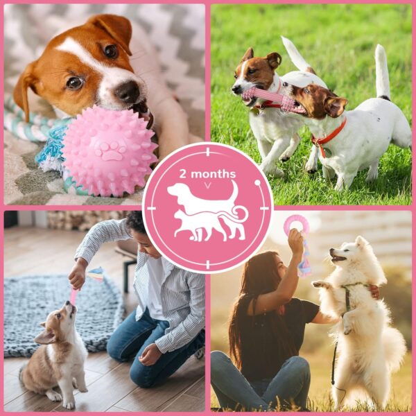 TENGZHI 6 PACK Durable Rubber Chew Toys for Puppies Small Dogs - Soft Rubber Funny Slippers Ball Donut Indoor Outdoor Toys Perfect for Teething and Playtime (Pink) - Image 6