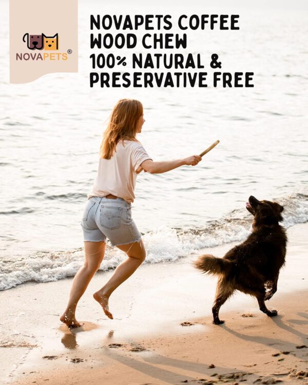 NOVAPETS Coffee Wood Dog Chew Stick for Small Dogs - Natural Dental Chewing Toy - Pack of 3 Size S - Image 7