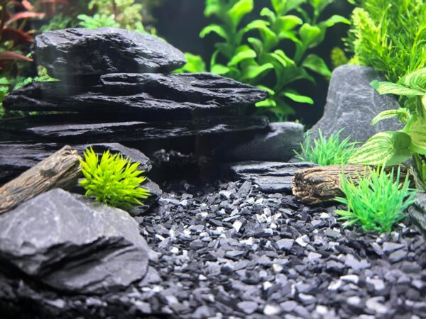 Natural Black Slate - 3 to 5 Inches Stones. for Aquascaping Aquariums, Terrariums, Paludariums, Nano Tanks, Reptile Enclosures and Miniature Gardens | USA Family Owned (12 pounds) - Image 4