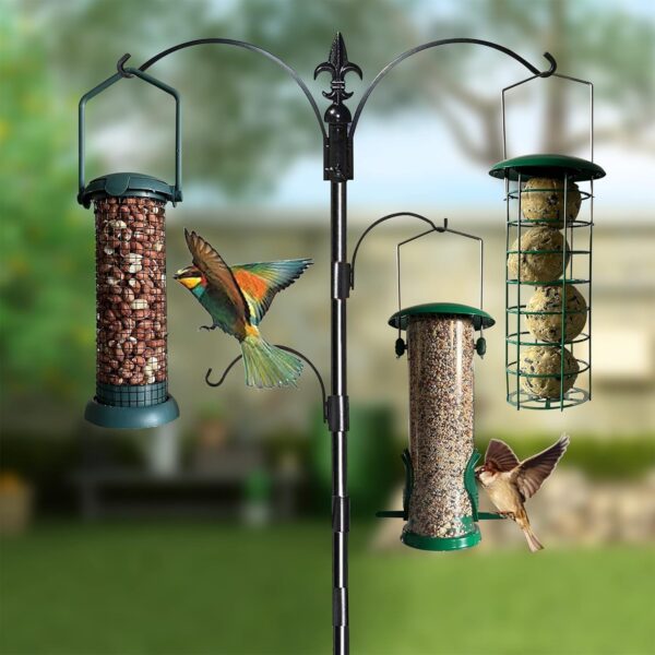 Home-Ed Hanging Bird Feeders for Small Birds Pack of 3 - Wild Bird Seed Feeder - Multiple Size Feeders, Premium Quality & Sleek Design - Bird Feeder Station - Image 7