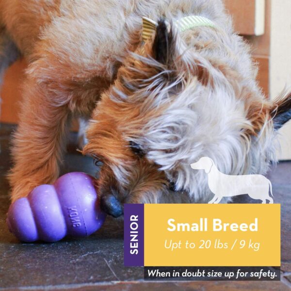 KONG - Senior Dog Toy Gentle Natural Rubber - Fun to Chew, Chase and Fetch, For Small Dogs - Image 2