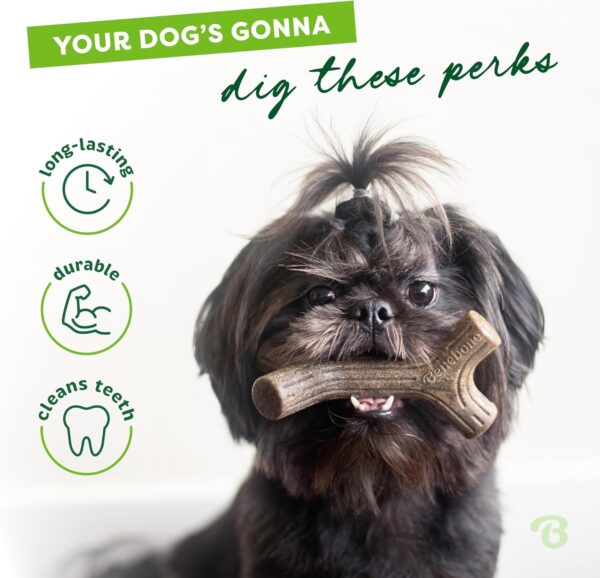 Benebone Indestructible Stick Dog Chew Toy for Aggressive Chewers, Long Lasting Tough Boredom Breaker for Dogs, Real Maple Wood Flavour, For Small Dogs, Made in the USA. - Image 3
