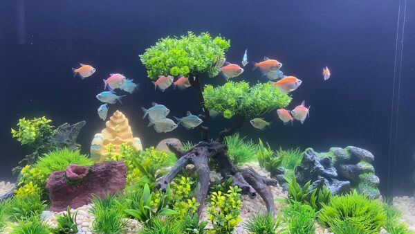 BEGONDIS 25Pcs Artificial Aquarium Plants Tree Set, Artificial Plastic Plants Fake Aquatic Plants Artificial Fish Tank Plants for Aquarium Decorations - Image 3