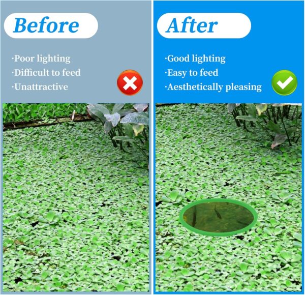 Jeffdad 5pcs Aquarium Floating Plant Rings, Foam Floaters Plant Corral Fish Feeding Ring Aquarium Feeding Ring, for Intercepts Floating Plants(Green) - Image 4