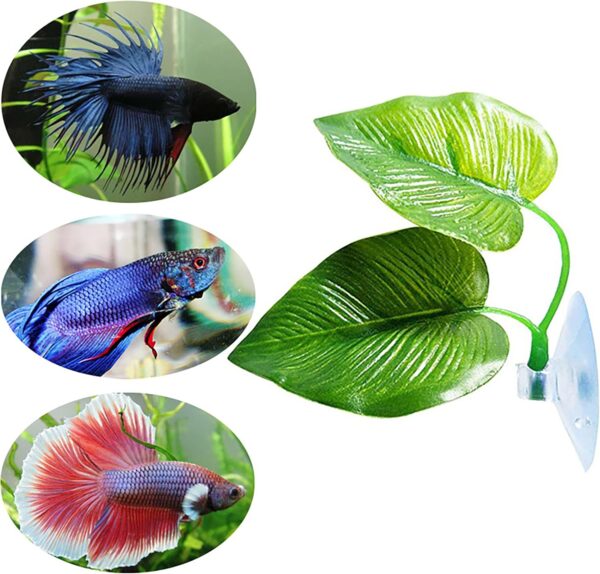 1Pcs Betta Fish Rest Leaf Aquarium Plants Artificial Betta Leaf Pad Hammock for Betta Fish Betta Spawning Leaf Simulation Leaves with Suction Cup Fish Tank Decorations and Accessories - Image 5