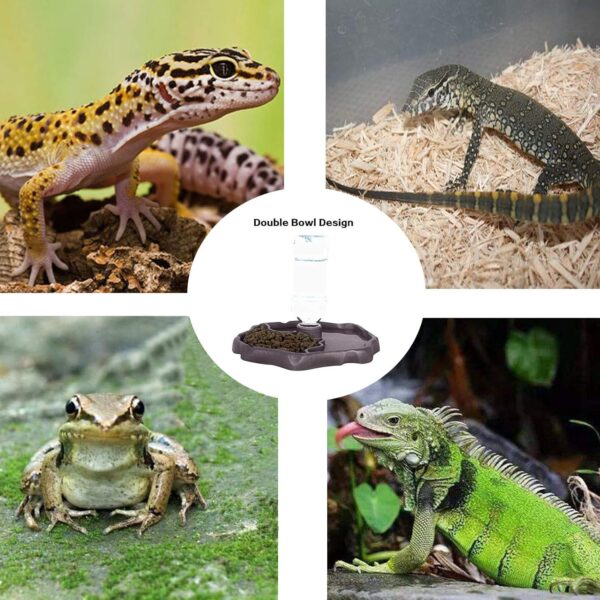 QIODAZOO Bowls for Reptiles Amphibians, Tortoise Accessories 2 IN 1 Reptile Feeding Dish Automatic Dispenser Tortoise Water Dish, Dark Brown - Image 6