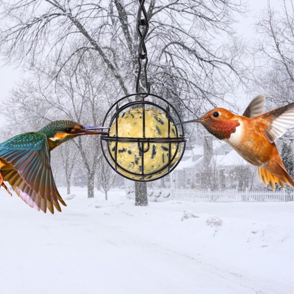2 Pcs Fat Ball Feeders Hanging, Hanging Bird Feeder Metal Fat Ball Bird Holder with S-shaped hooks, Bird Feeders Fat Balls for Outdoor Garden Wildlife Birds Finch Sparrow Robin - Image 7