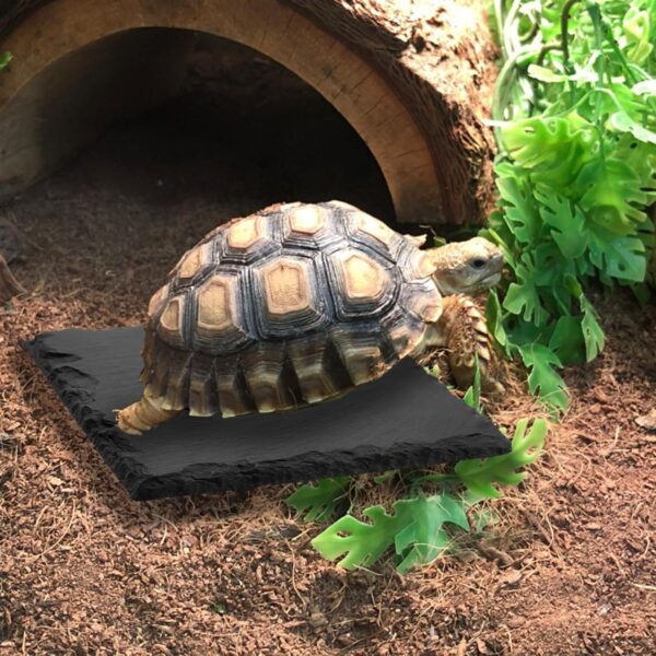 Reptile Basking Slate Platform Aquarium Tortoise Bathing Resting Platform,10x10cm Turtle Habitat Slate Pad Turtle Feeding Food Bowl Dish Resting Natural Rock Platform Accessories Decoration(Black) - Image 5