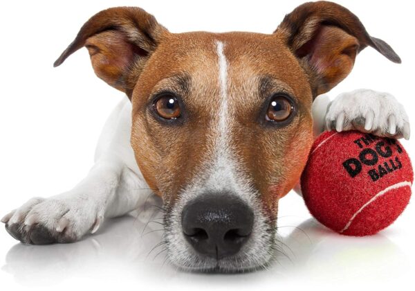 The Little Dog's Balls, Dog Tennis Balls, 6-Pack Small Red Dog Toy, Strong Dog & Puppy Tennis Ball - Image 3