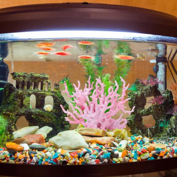 JJYHEHOT Aquarium Coral Decoration 2 Pcs Artificial Simulation Coral Reef Resin Underwater Marine Plants Ornament for Fish Tank Landscaping (Pink, Blue) - Image 5