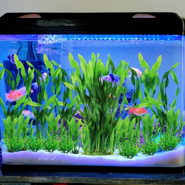 QUOZUO Aquarium Plants, 20pcs Fish Tank Decor Green Plants Artificial Aquarium Decorations for Household and Office Aquarium, Small to Large - Image 3