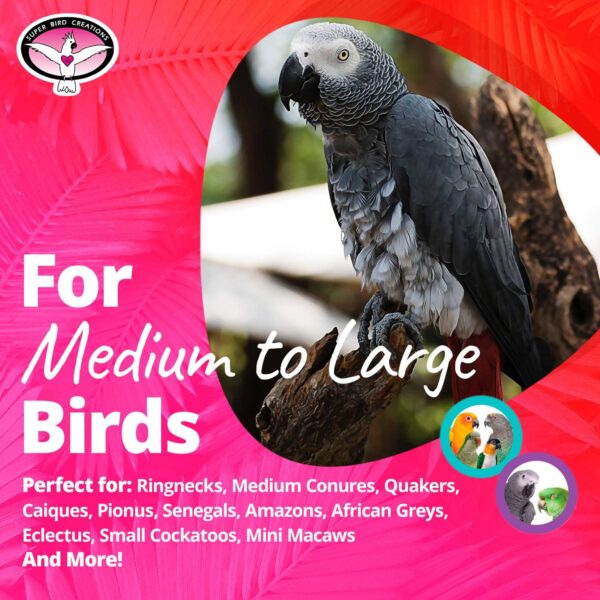 Super Bird Creations SB751 Foraging Puzzle Toy for Parrots, Conures, African Greys - Bird Feeder, Enrichment Activity, Versatile Forager for Mental Stimulation - Durable PVC - Medium/Large, 3”x5”x8 - Image 3