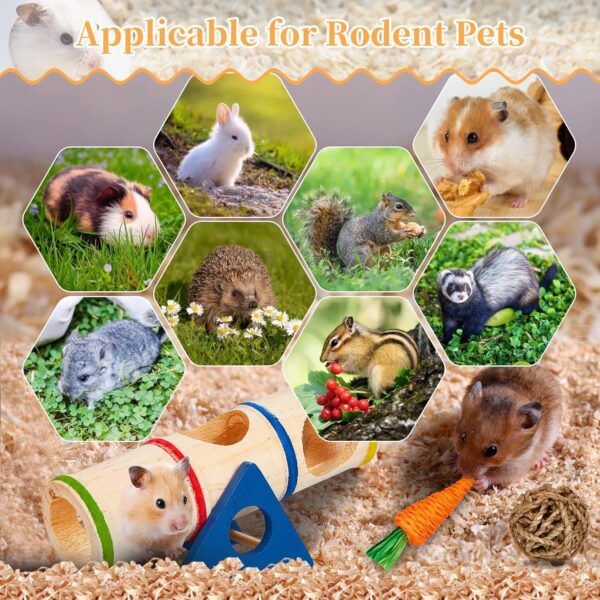 SONNIG 11 PCS Hamster Toys, Natural Wooden Chew Toys for Small Animals Teeth Care and Exercise, Guinea Pig Toys Gerbil Toys Rat Toys Boredom Breakers and Accessories for Cage - Image 5