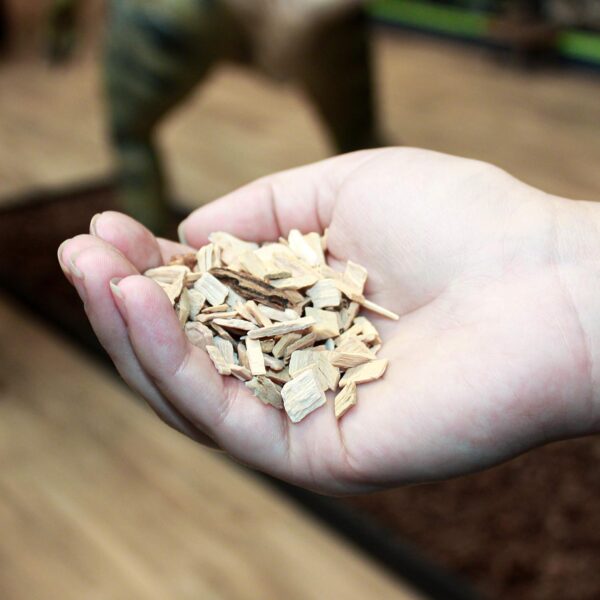 Komodo Coarse Beech Chips, Substrate for Reptiles, Natural Substrate, Reptile Substrate, Beech Chips, Coarse, 6 Litre, may vary - Image 5