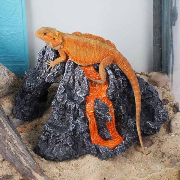 Reptile Cave Hideout Habitat, Great for Bearded Dragons, Leopard Geckos, Lizards, Turtles, Snakes, Frogs, Scorpions, Spiders and Other Reptiles, Amphibians (C - Extra Large) - Image 4