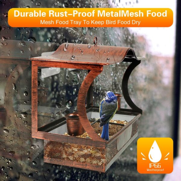 Window Bird Feeder, Metal Window Bird Feeder with Strong Suction Cups, Bird Feeders for Small Birds, Removable Tray with 2 Water Cups, Easy Clean and Fill - Image 7
