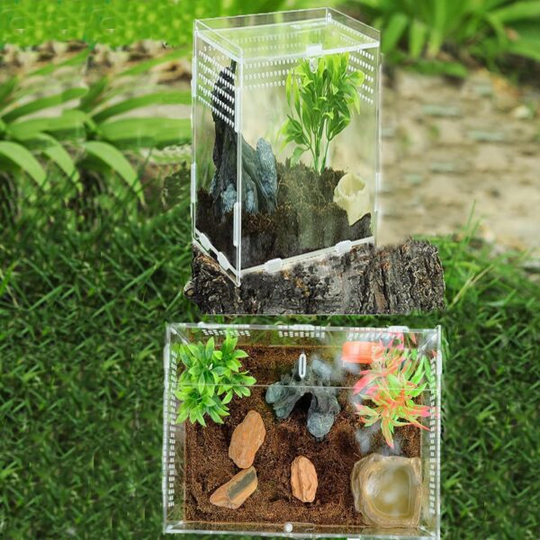 Topspitgo Tarantula Enclosure,Acrylic Transparent Terrarium,Stick Insect Enclosure,Reptile Breeding Box for Jumping Spider,Tarantula,Mantis,Snails,Spide,Scorpion,Centipede,Beetle (12x12x20cm) - Image 5