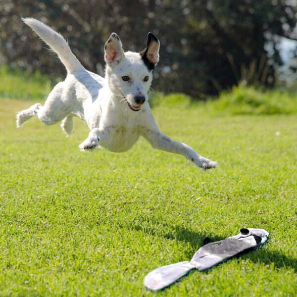 Newthinking No Stuffing Dog Toys, 5 Pack Dog Squeaky Toys, Durable Plush Dog Toys for Large Medium Small Dogs - Image 6