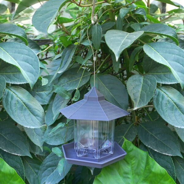 Zeqeey Mix Seed Blends Bird Feeder, Sunflower Heart Peanuts Nut Seed Birdfeeder, Food Holder for Hanging Outdoor Garden Attracting Dunnocks Sparrows Robins Wild Little Birds - Image 7