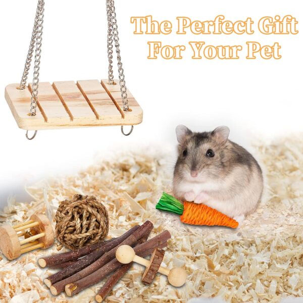 SONNIG 11 PCS Hamster Toys, Natural Wooden Chew Toys for Small Animals Teeth Care and Exercise, Guinea Pig Toys Gerbil Toys Rat Toys Boredom Breakers and Accessories for Cage - Image 7