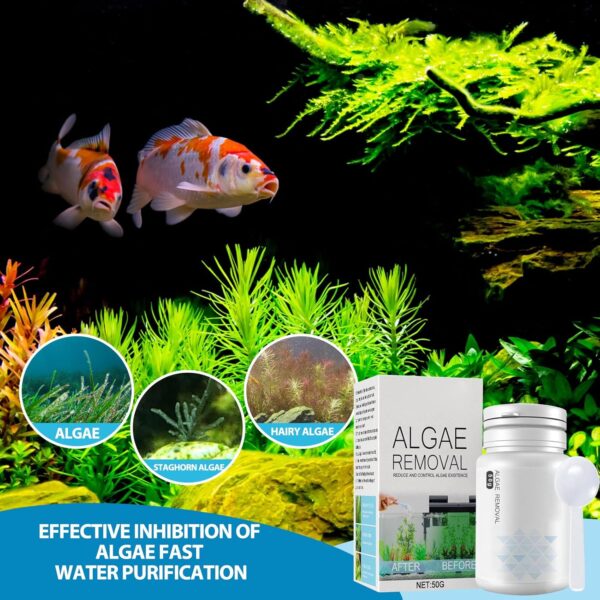Algae Remover Aquarium,50g Fish Tank Cleaner Algaecide Tablets with Spoon,Clears Green Water,Safe for Fish and Plants,Efficient Aquatic Algae Treatment,Fish Tank Algae Remover for Ponds Fountains - Image 4