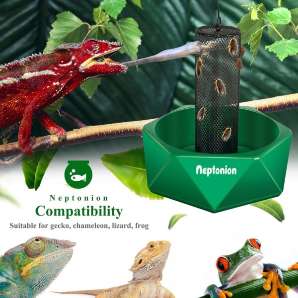 NEPTONION Hookable Chameleon Feeding Bowl Bugs Bar with Column for Prey to Climb and Move, Suitable for Lizard, Bearded Dragon, Iguana, Gecko, Toad, Frog - Image 6