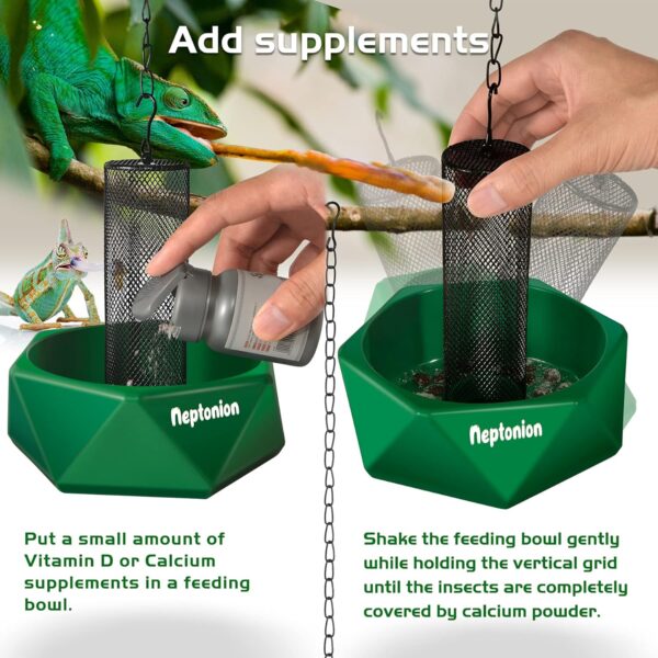 NEPTONION Hookable Chameleon Feeding Bowl Bugs Bar with Column for Prey to Climb and Move, Suitable for Lizard, Bearded Dragon, Iguana, Gecko, Toad, Frog - Image 5