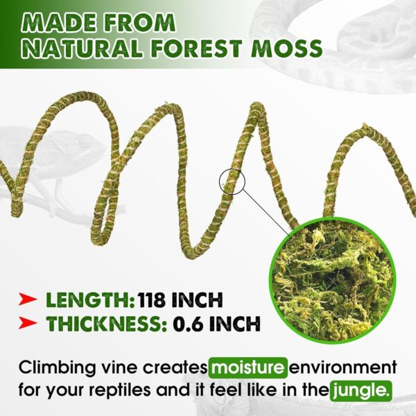 DUSPRO 10FT Reptile Vines Climbing Bendable Branch Reptile Natural Moss Rope Jungle Decor Bearded Dragon, Chameleon Tank Accessories Amphibian Habitat - Snake Gecko Lizard Terrarium (AS) - Image 2