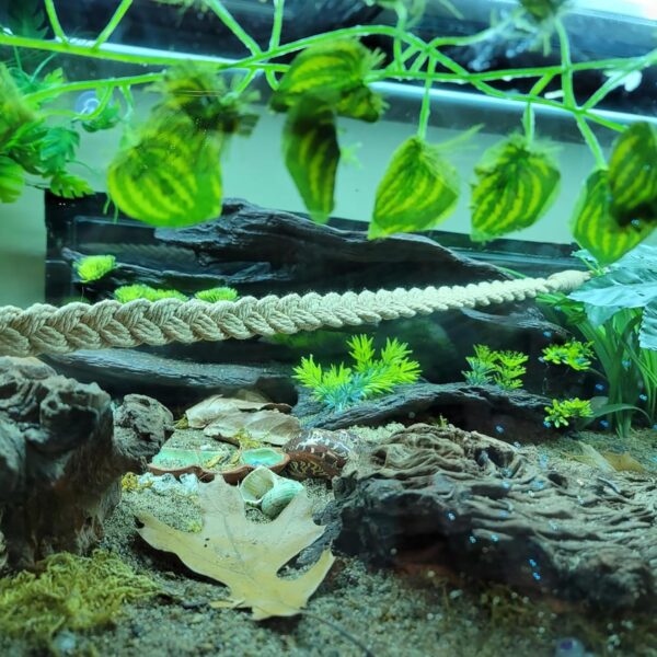 2 Pack 25.6" Hermit Crab Climbing Toys, Hanging Hermit Crab Rope Ladder, Hermit Crab Supplies, Reptile Vines Toys, Reptile Tank Terrarium Accessories, Habitat Decor for Leopard - Image 3