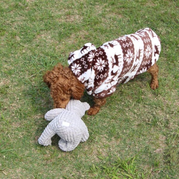 IFOYO Dog Squeaky Toy, Durable Dog Squeaker Toy 7.9 x 6.3 Inch Cute Sitting Bear Shaped Dog Interactive Toy Unique Tough Cloth Stuffed Dog Toy for Boredom - Image 5
