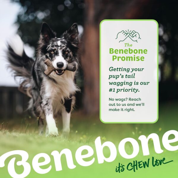 Benebone Indestructible Stick Dog Chew Toy for Aggressive Chewers, Long Lasting Tough Boredom Breaker for Dogs, Real Maple Wood Flavour, For Small Dogs, Made in the USA. - Image 6