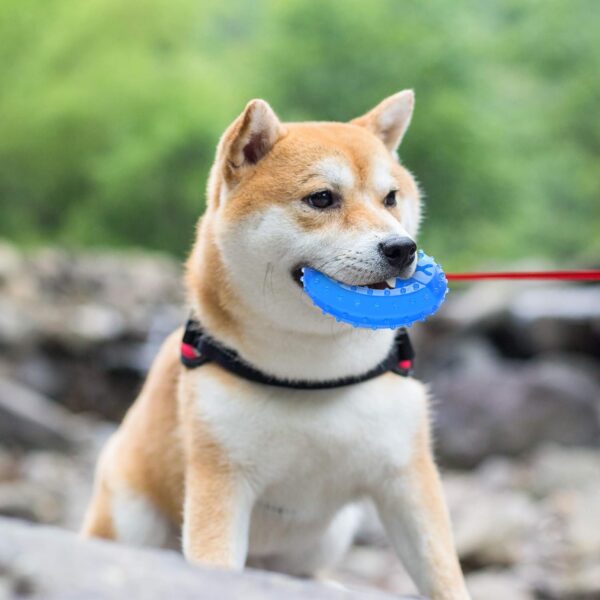 NWK Pet Teether Cooling Chew Toy for Dogs Teething Toy for Puppies, Fit with Treats for More Fun (Chewing Ring) - Image 2