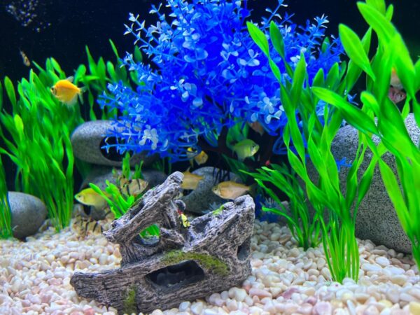 Aquarium Fish Tank Decorations, 16 Pcs Blue Tree & Green Seaweed & Shipwreck Decor Ship Ornament, Artificial Plastic Plants Set for Betta Fish, Goldfish, Turtle - Image 8