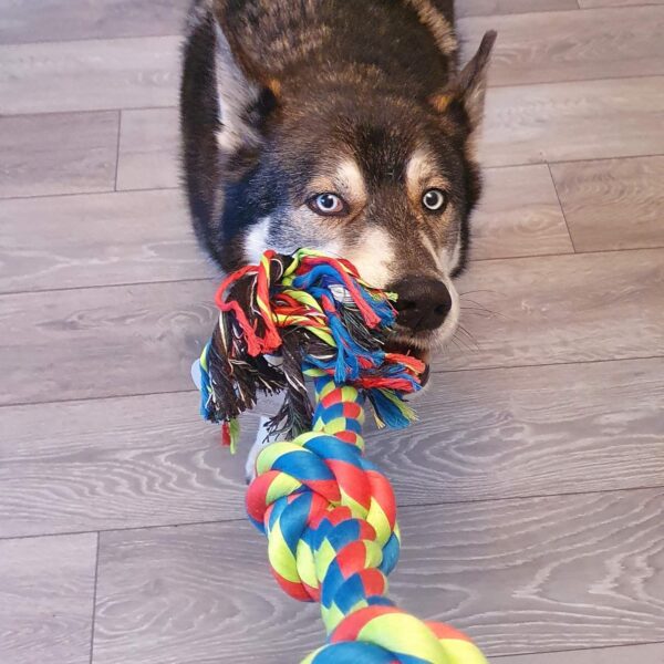 Petface Toyz Triple Knot Rope Dog Toy, Small - Image 4