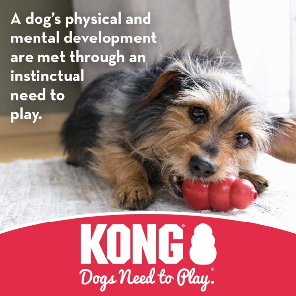 KONG - Stuff-A-Ball- Durable Rubber, Treat Dispensing and Teeth Cleaning Dog Toy - For Small Dogs - Image 5