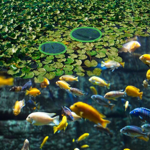 Jeffdad 5pcs Aquarium Floating Plant Rings, Foam Floaters Plant Corral Fish Feeding Ring Aquarium Feeding Ring, for Intercepts Floating Plants(Green) - Image 5