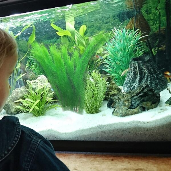 HAOSEA Aquarium Plant Artificial Plastic Fish Tank Plants for Aquarium Fish Tank Aquatic Greenery Decoration Water Grass Plants 35cm/13.8inch - Image 7