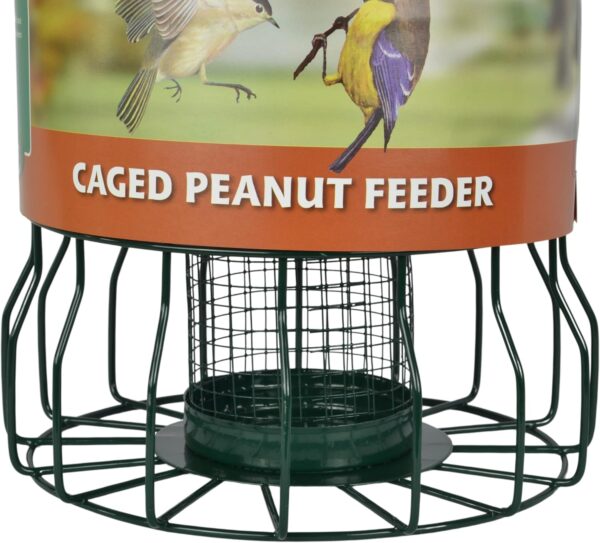 Supa Wild Bird Caged Peanut Feeder, Deters Squirrels And Larger Birds Such As Doves & Pigeons. - Image 4