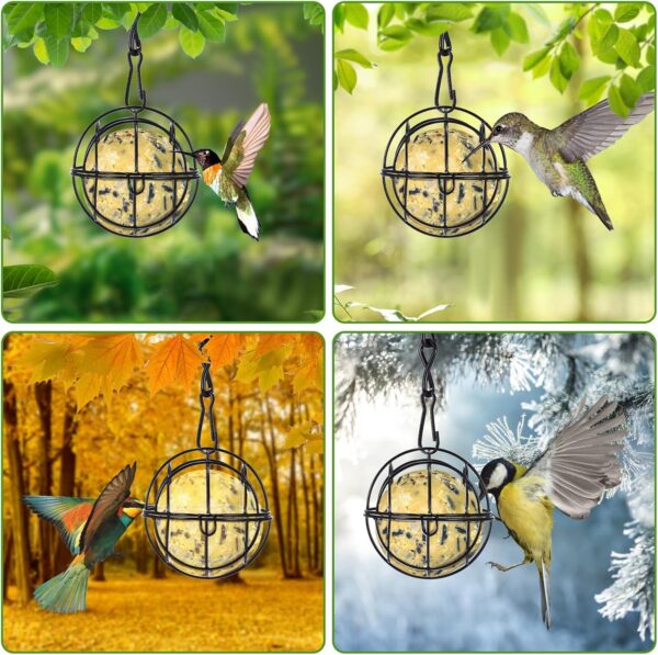2 Pcs Fat Ball Feeders Hanging, Hanging Bird Feeder Metal Fat Ball Bird Holder with S-shaped hooks, Bird Feeders Fat Balls for Outdoor Garden Wildlife Birds Finch Sparrow Robin - Image 5